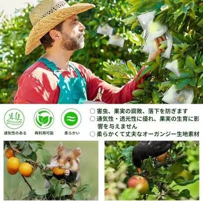 图片[3]-纱网纱袋 白色 60个装 17*23

22元包邮-日本亚马逊论坛-海外推广-同舟