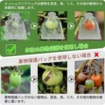纱网纱袋 白色 60个装 17*23

22元包邮-同舟