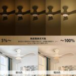风扇灯,白色50台 金色15台,一台起200元包邮-同舟