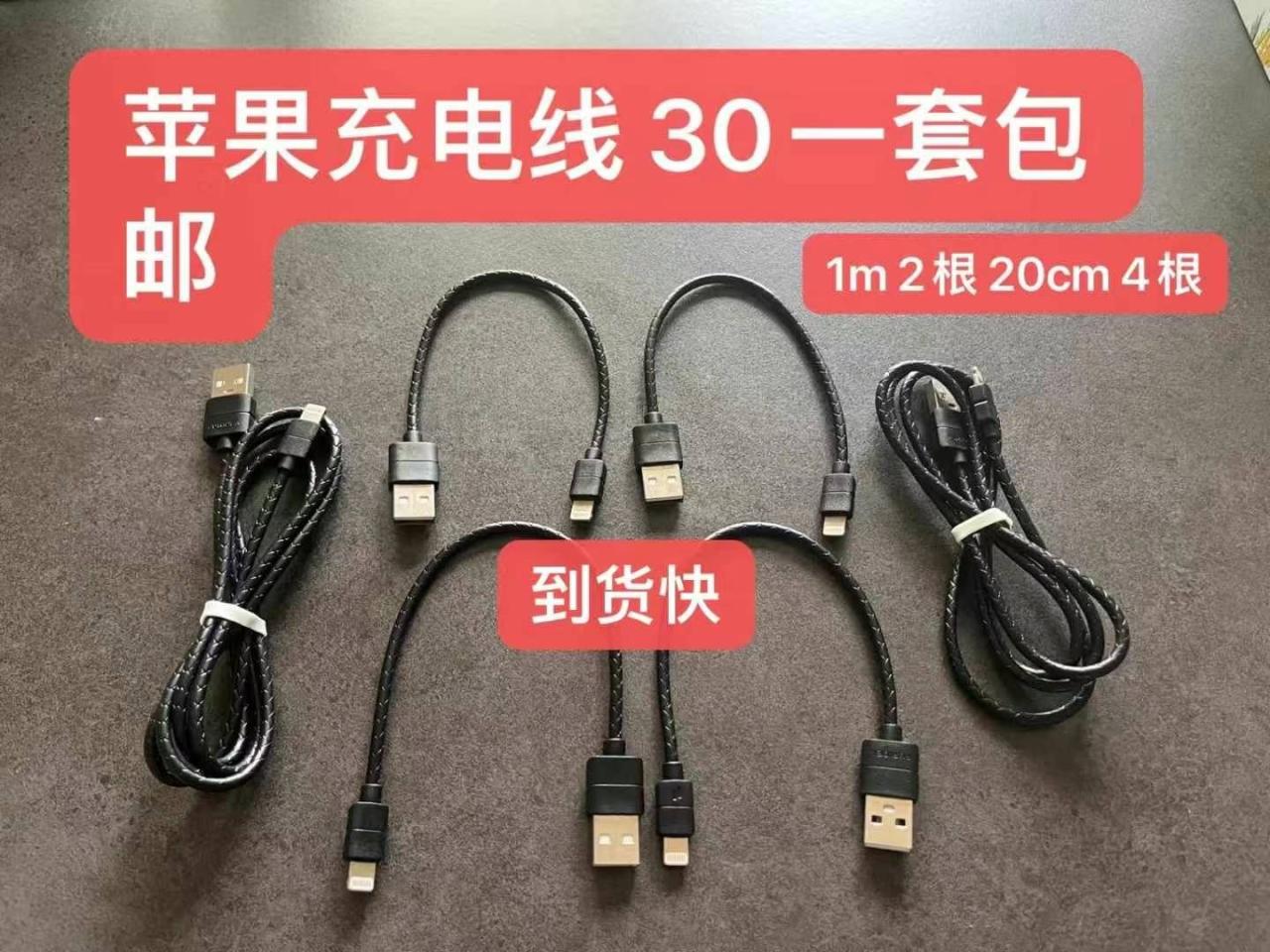 图片[4]-狗狗置物架很可爱-日本亚马逊论坛-海外推广-同舟