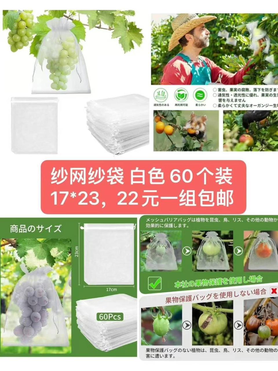 图片[7]-狗狗置物架很可爱-日本亚马逊论坛-海外推广-同舟