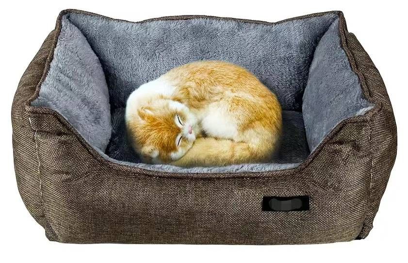 图片[1]-还有五十个打包22元-日本亚马逊论坛-海外推广-同舟