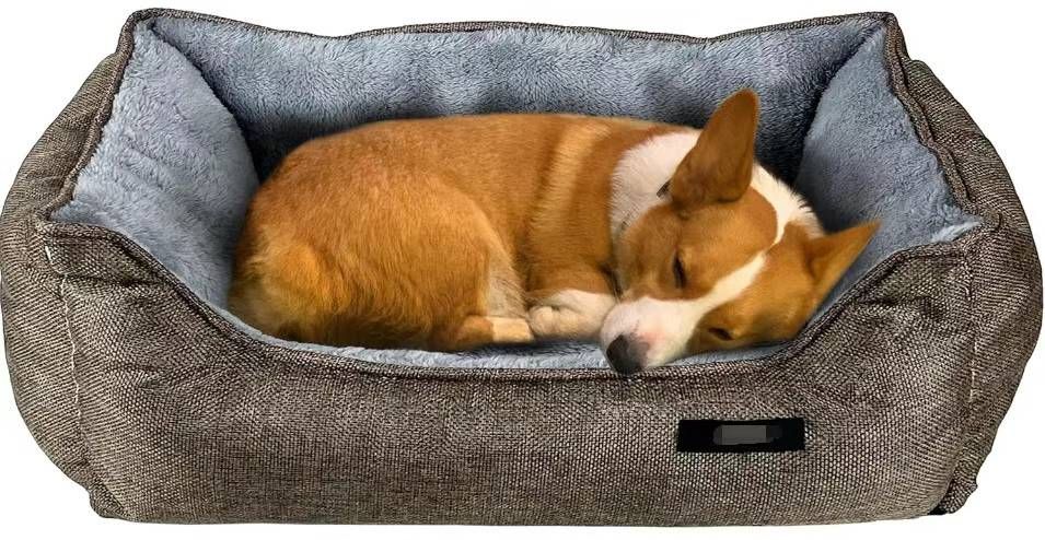 还有五十个打包22元-日本亚马逊论坛-海外推广-同舟