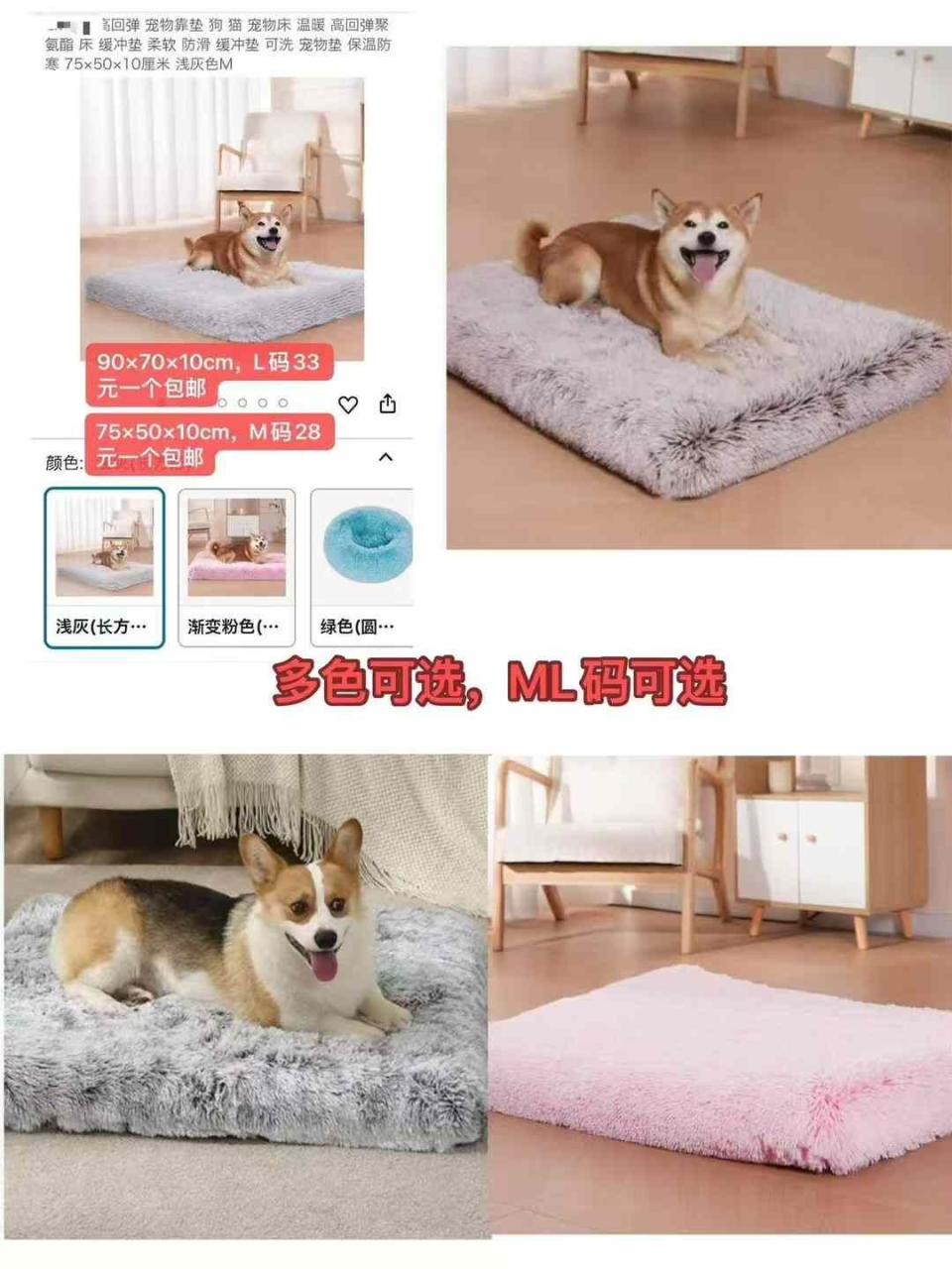 图片[6]-一波儿新品-日本亚马逊论坛-海外推广-同舟