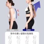 矫正带 黑s
只有三个 15元包邮-同舟
