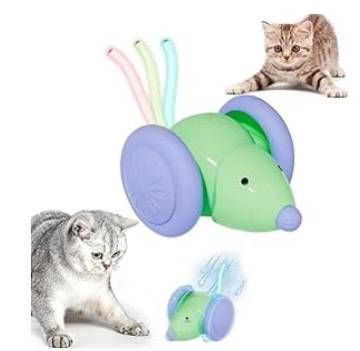 图片[1]-电动猫玩具25元-日本亚马逊论坛-海外推广-同舟