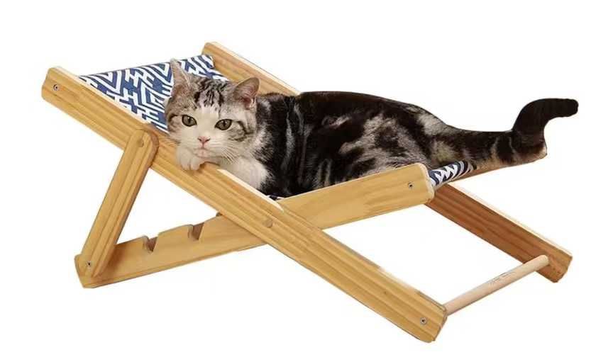 图片[4]--日本亚马逊论坛-海外推广-同舟