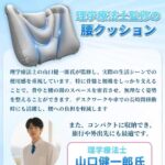 靠枕35元一个包邮-同舟