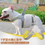 SM可选
20元包邮-同舟