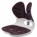 矫正椅质量很好
就剩下这几款了
十个起不零售
单价50元-同舟