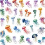 镭射防水贴纸 梦幻水母 60张装
镭射防水贴纸 美人鱼 60张装
20...-同舟