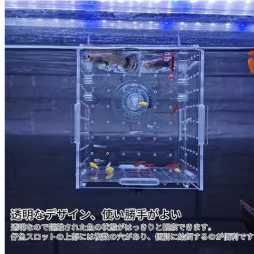 图片[2]-透明亚克力鱼类繁殖隔离盒
15元包邮-日本亚马逊论坛-海外推广-同舟