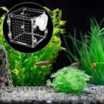 透明亚克力鱼类繁殖隔离盒
15元包邮-同舟