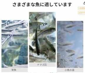 图片[5]-透明亚克力鱼类繁殖隔离盒
15元包邮-日本亚马逊论坛-海外推广-同舟