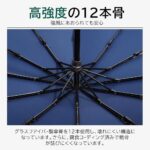 数量很少特价30元一把
两把起售
只有蓝色-同舟
