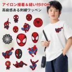 蜘蛛侠刺绣布贴
25元-同舟