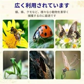 昆虫捕捉器 15元[爱心]-日本亚马逊论坛-海外推广-同舟