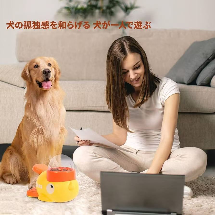 宠物自动喂食器23元包邮-日本亚马逊论坛-海外推广-同舟